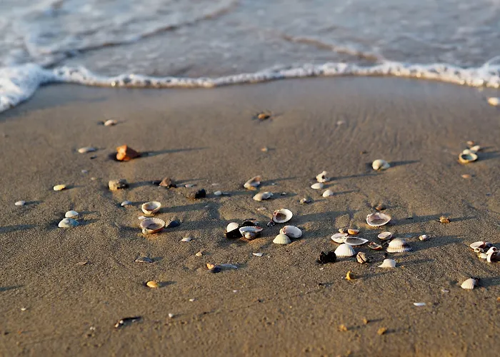 アパート Tastefully Furnished Flat With Solarium *